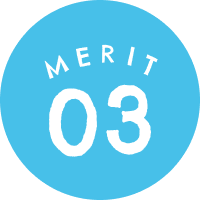MERIT 03